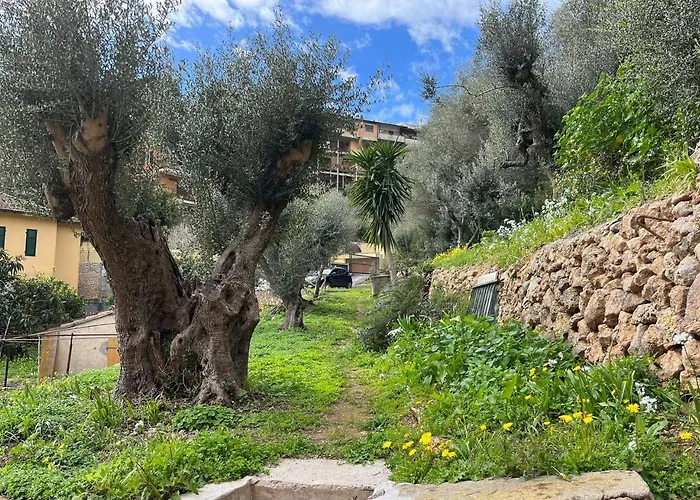 Semesterbostad Casa Degli Ulivi Porto Santo Stefano (Grosseto)